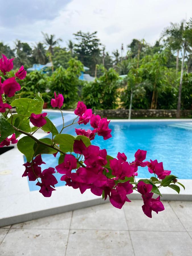 D Arc Leisure Home By The Sea 邦劳 外观 照片